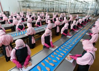 Ngành Công nghệ chế biến thủy sản