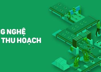 Ngành Công nghệ sau thu hoạch