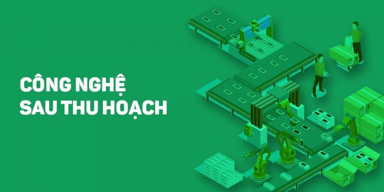 Ngành Công nghệ sau thu hoạch