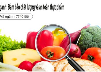Ngành Đảm bảo chất lượng và an toàn thực phẩm