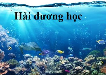Ngành Hải dương học