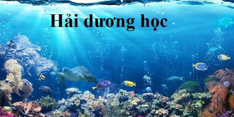 Ngành Hải dương học