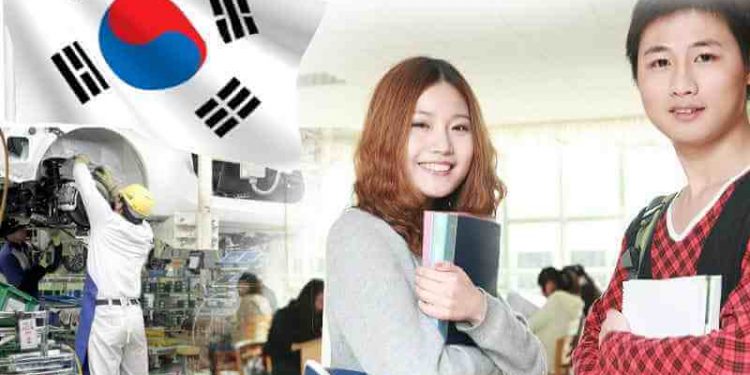 Ngành Hàn Quốc học