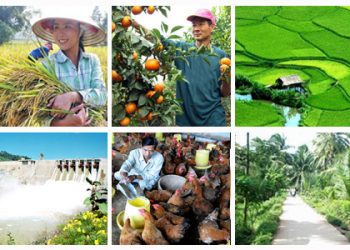 Ngành Kinh tế nông nghiệp