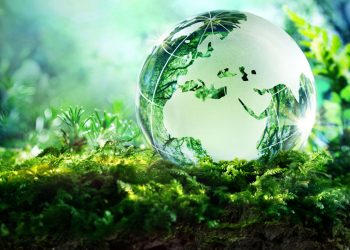 Ngành Kỹ thuật môi trường