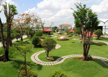 Ngành Lâm nghiệp đô thị