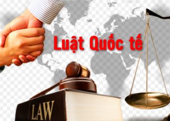 Ngành Luật quốc tế