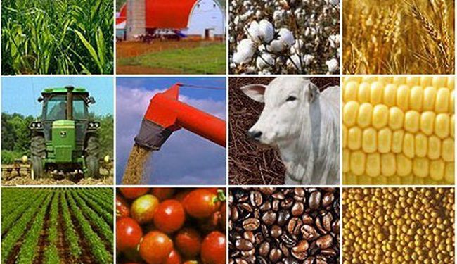 Ngành Nông nghiệp