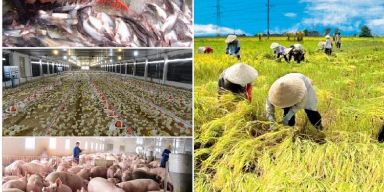 Ngành Phát triển nông thôn