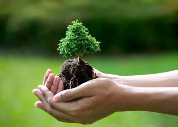 Ngành Quản lý tài nguyên và môi trường