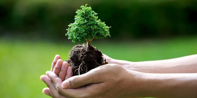 Ngành Quản lý tài nguyên và môi trường