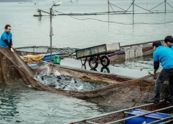 Ngành Quản lý thủy sản