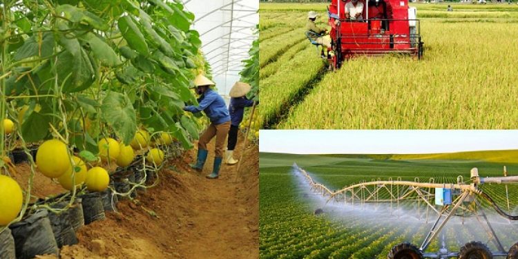 Ngành Sư phạm Kỹ thuật Nông nghiệp