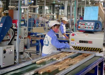 Ngành Công nghệ chế biến Lâm sản