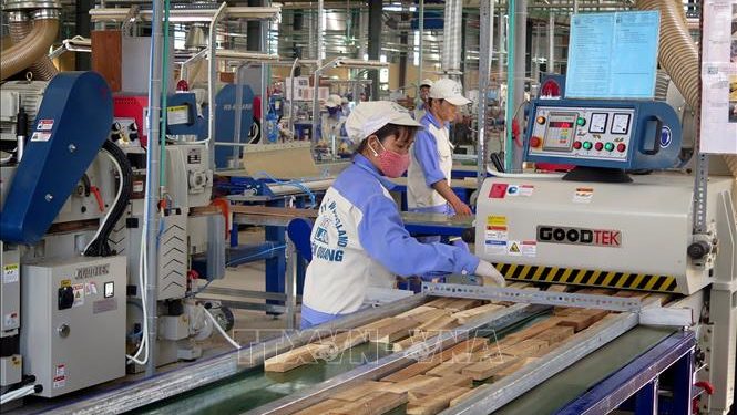 Ngành Công nghệ chế biến Lâm sản