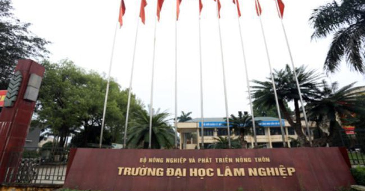 Ảnh trường đại học lâm nghiệp